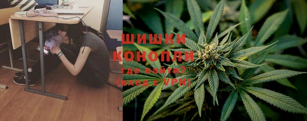 ГАЛЛЮЦИНОГЕННЫЕ ГРИБЫ Алексеевка