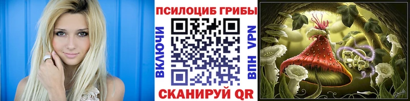 Галлюциногенные грибы Psilocybine cubensis  Ижевск 